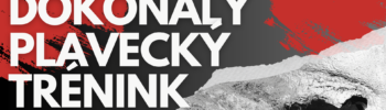 Dokonalý plavecký trénink: JAK ZLEPŠIT VÝDRŽ PŘI PLAVÁNÍ (pokročilí)